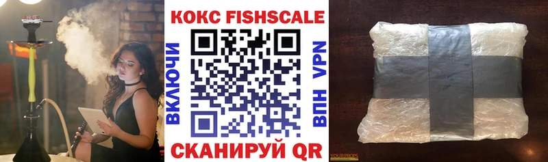 Кокаин Fish Scale  mega tor  Бакал  сколько стоит 