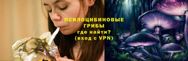 Альфа ПВП Пролетарск
