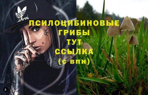 бошки Приозерск