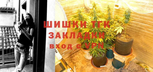 амф Арсеньев