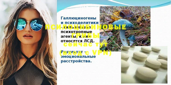 амф Арсеньев