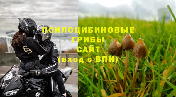 Альфа ПВП Пролетарск