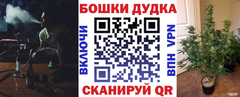 цены   даркнет формула  Шишки марихуана ГИДРОПОН  Бакал 